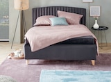 Polsterbett Shelly für 14,99 € bei Sconto SB im Angebot Polsterbett Shelly im aktuellen Sconto SB Prospekt