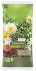 Angebot im toom Baumarkt Zeitz Prospekt toom Baumarkt Zeitz Prospekt mit im Angebot fĂŒr 9,99 âŹ