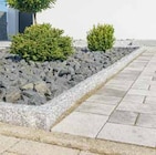Carl Bremer GmbH & Co. KG Luschendorf - Granit-Rasenbordstein Angebot im Prospekt Granit-Rasenbordstein bei Carl Bremer GmbH & Co. KG im Luschendorf Prospekt für 14,99 €