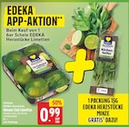 Havana Club Limetten im Angebot bei WEZ in Bad Salzuflen Havana Club Limetten Angebote von Edeka Herzstücke bei WEZ Bad Salzuflen für 0,99 €