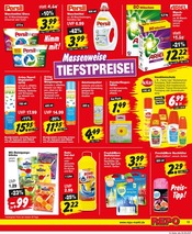 Pflanzen im Repo Prospekt in Hoyerswerda Aktueller Repo Prospekt mit Pflanzen, "Aktuelle Angebote", Seite 13