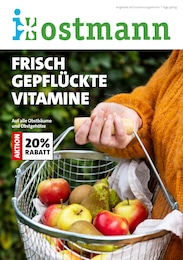 Blumen Ostmann Prospekt "FRISCH GEPFLÜCKTE VITAMINE" für Goldenstedt, 8 Seiten, 27.09.2024 - 03.10.2024