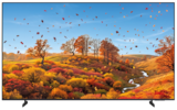 Aktuelles 4K UHD Mini LED TV GU75M84HAUXZG Angebot bei expert in Mannheim ab 849,00 €