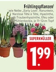 EDEKA Pentling Prospekt mit  im Angebot für 1,99 €