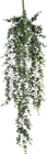 Kunstpflanze Eukalyptus von  im aktuellen BAUHAUS Prospekt für 12,95 €