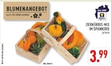 Zierkürbis-Mix Angebot in Schieder-Schwalenberg Zierkürbis-Mix im aktuellen Prospekt bei Marktkauf in Schieder-Schwalenberg