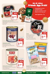 Fressnapf Hundefutter im Prospekt 