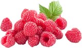 Himbeeren im Angebot bei REWE in Schwerte Himbeeren Angebote bei REWE Schwerte für 3,79 €
