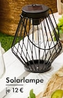 Solarlampe Angebote bei TEDi Oberhausen für 12,00 €