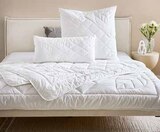 Aktuelles Sommerbett Angebot bei XXXLutz Möbelhäuser in Aachen ab 19,99 €