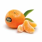 GLOBUS Wiesbaden Prospekt mit  im Angebot für 2,22 €