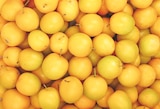 Prune Jaune et/ou Rouge - Netto Prune Jaune et/ou Rouge à 1,99 € dans le catalogue Netto