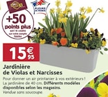 Jardinière de Violas et Narcisses en promo chez LaMaison.fr Le Mans à 15,95 €