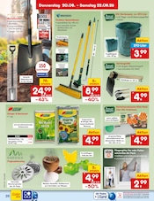 Saatgut im Netto Marken-Discount Prospekt in Neunkirchen Aktueller Netto Marken-Discount Prospekt mit Saatgut, "Aktuelle Angebote", Seite 38