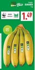 Aktuelles Ecuador Bananen Angebot bei Marktkauf in Köln ab 1,49 €