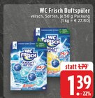 Duftspüler Frische Brise im Angebot bei E center in Köln Duftspüler Frische Brise Angebote von WC Frisch bei E center Köln für 1,39 €