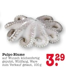 Pulpo Blume Angebote bei E center Weinheim für 3,29 €