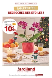 Prospectus Jardiland à Bouffémont, "TABLE EN FÊTE DÉCROCHEZ DES ÉTOILES !", 6 pages, 12/12/2025 - 31/12/2025