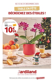 Catalogue Jardiland à La Queue-en-Brie cette semaine, valable du 12/12/2025 au 31/12/2025 Prospectus Jardiland à La Queue-en-Brie, "TABLE EN FÊTE DÉCROCHEZ DES ÉTOILES !", 6 pages de promos valables du 12/12/2025 au 31/12/2025
