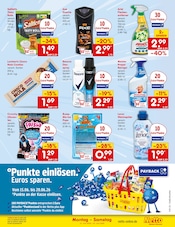 Dusche im Netto Marken-Discount Prospekt in Homburg Aktueller Netto Marken-Discount Prospekt mit Dusche, "Aktuelle Angebote", Seite 41
