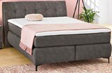 Boxspringbett Bianca im Angebot bei porta Möbel in Minden Boxspringbett Bianca Angebote bei porta Möbel Minden für 699,00 €