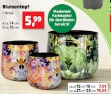 Blumentopf ø ca. 14 cm, H ca. 15 cm im aktuellen Prospekt bei Thomas Philipps in Oppurg