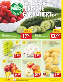 Äpfel im Netto Marken-Discount Prospekt "Aktuelle Angebote" mit 57 Seiten (Mannheim)