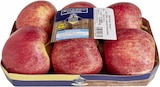Aktuelle Äpfel Angebote bei E center in Wiesbaden Aktuelles Äpfel Gala Angebot bei E center in Wiesbaden ab 1,99 €
