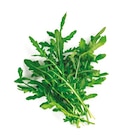 Rucola im aktuellen Netto mit dem Scottie Prospekt