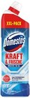 Kraft & Frische WC-Gel XXL Ocean Angebote von Domestos bei Kaufland Rostock für 1,85 €