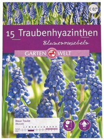 Blumenzwiebeln bei Rossmann in Cuxhaven Blumenzwiebeln im Angebot bei Rossmann Cuxhaven für 0,99 €