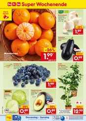 Palme im Netto Marken-Discount Prospekt in Rottenburg Aktueller Netto Marken-Discount Prospekt mit Palme, "Aktuelle Angebote", Seite 52