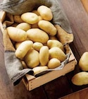 Promo POMME DE TERRE DE CONSOMMATION NOUVELLE RECOLTE à 2,79 € dans le catalogue Intermarché à Vallauris