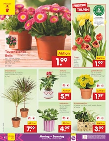 Kartoffeln Angebot im Netto Marken-Discount Prospekt, gültig von 02.02.2026 bis 07.02.2026 Kartoffeln Angebot im aktuellen Netto Marken-Discount Prospekt auf Seite 6