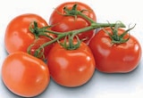 Aktuelle Tomaten Angebote bei Markant Nordwest in Bielefeld Aktuelles Strauchtomaten Angebot bei Markant Nordwest in Bielefeld ab 2,22 €