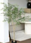 Kunstpflanze "Jacaranda" Angebote von Lafiora bei Hornbach Ulm für 34,95 €