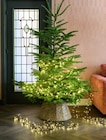 Treecluster-Lichterkette Angebot im Blumen Ostmann Prospekt Treecluster-Lichterkette im Blumen Ostmann Prospekt zum Preis von 16,99 €