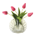 Muschelvase für 5,95 € bei Sconto SB im Angebot Muschelvase im aktuellen Sconto SB Prospekt