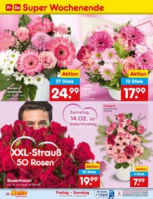 Blumen im Netto Marken-Discount Prospekt "Aktuelle Angebote" mit 58 Seiten (Magdeburg)
