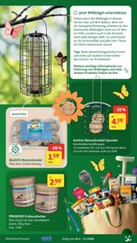 Blumen im Fressnapf Prospekt in Lehrte Aktueller Fressnapf Prospekt mit Blumen, "Jetzt wird’s Frühling", Seite 17