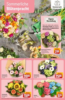 Hortensie im aktuellen REWE Prospekt (Darmstadt) Hortensie im REWE Prospekt "Dein Markt" mit 36 Seiten (Darmstadt)