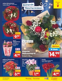 Garten Angebot im aktuellen Netto Marken-Discount Prospekt auf Seite 11