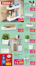 Pflanzen im KODi Prospekt in Arnsberg Aktueller KODi Prospekt mit Pflanzen, "DER HAUSHALTSDISCOUNTER", Seite 2