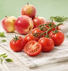 Bio Apfel im Netto Marken-Discount Prospekt Bio Apfel von BioBio im aktuellen Netto Marken-Discount Prospekt für 2,49 €