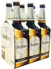 Warsteiner Premium Pils Angebote bei Penny-Markt Osnabrück für 3,99 €