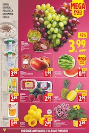 Sonnenblume Angebot & Preis im aktuellen E center Prospekt Sonnenblume Angebot im aktuellen E center Prospekt auf Seite 2