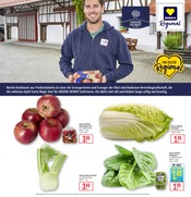 Fernseher im Marktkauf Prospekt in Geislingen Aktueller Marktkauf Prospekt mit Fernseher, "Aktuelle Angebote", Seite 9