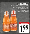 Sex on the Beach oder Tequila Sunrise im Angebot bei E center in Meerbusch Sex on the Beach oder Tequila Sunrise Angebote von Cocktail Plant bei E center Meerbusch für 1,99 €