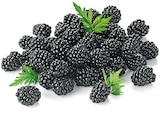 nahkauf Wartenberg - Brombeeren Angebot im Prospekt Brombeeren bei nahkauf im Wartenberg Prospekt für 1,79 €