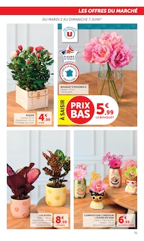 Promotion Plante Verte dans le prospectus Super U, valable du 02/06/2026 au 14/06/2026 Promo Plante Verte dans le catalogue Super U du moment à la page 31